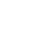 AI Consulting