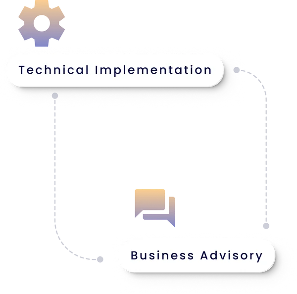 Technical Implementation and Business Advisory