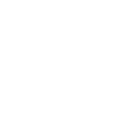 Dynamic IDX Websites